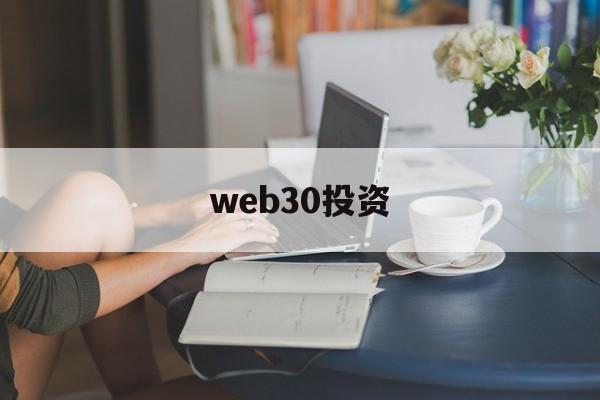 web30投资(web30的主要特征)