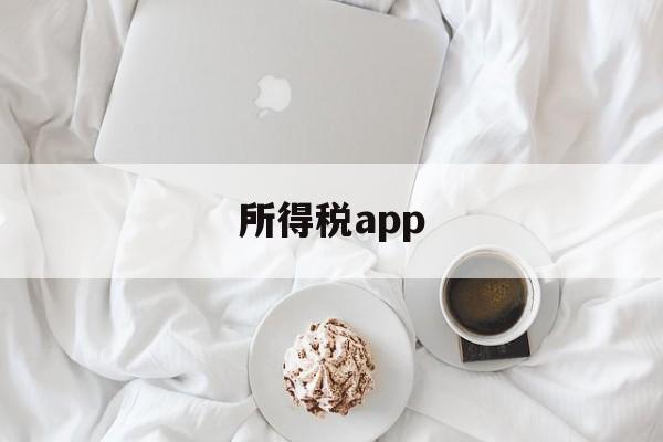 所得税app(所得税app下载)